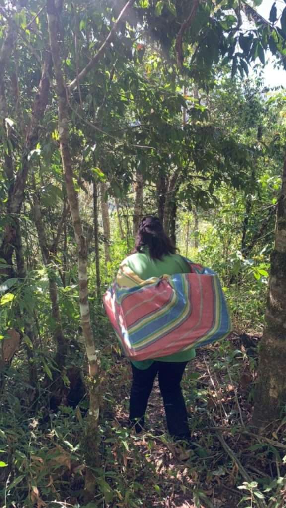 Sustainable coffee cultivation