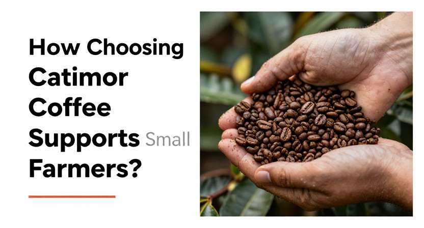 How Choosing Catimor Coffee Supports Small Farmers?