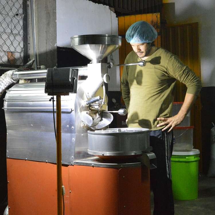 Best Practices For Roasting Catimor Coffee